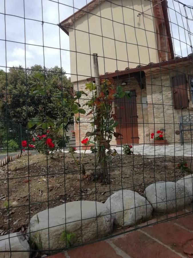 La Casetta Della Letizia Colle  Exterior photo